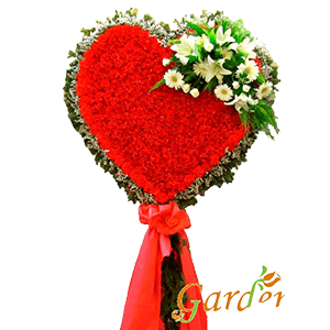Kırmızı Karanfil Kalp Pano Çelenk